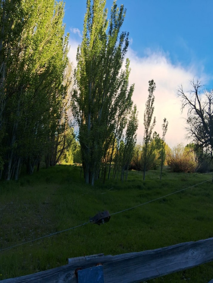 TERRENO EN VENTA EN TREVELIN 3.5HAS