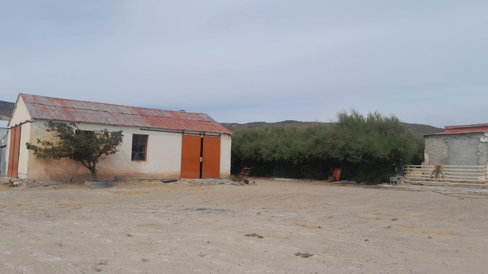CAMPO PRODUCTIVO EN VENTA GOBERNADOR MOYANO