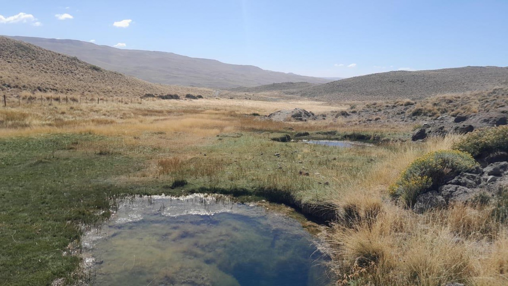 CAMPO PRODUCTIVO EN VENTA GOBERNADOR MOYANO
