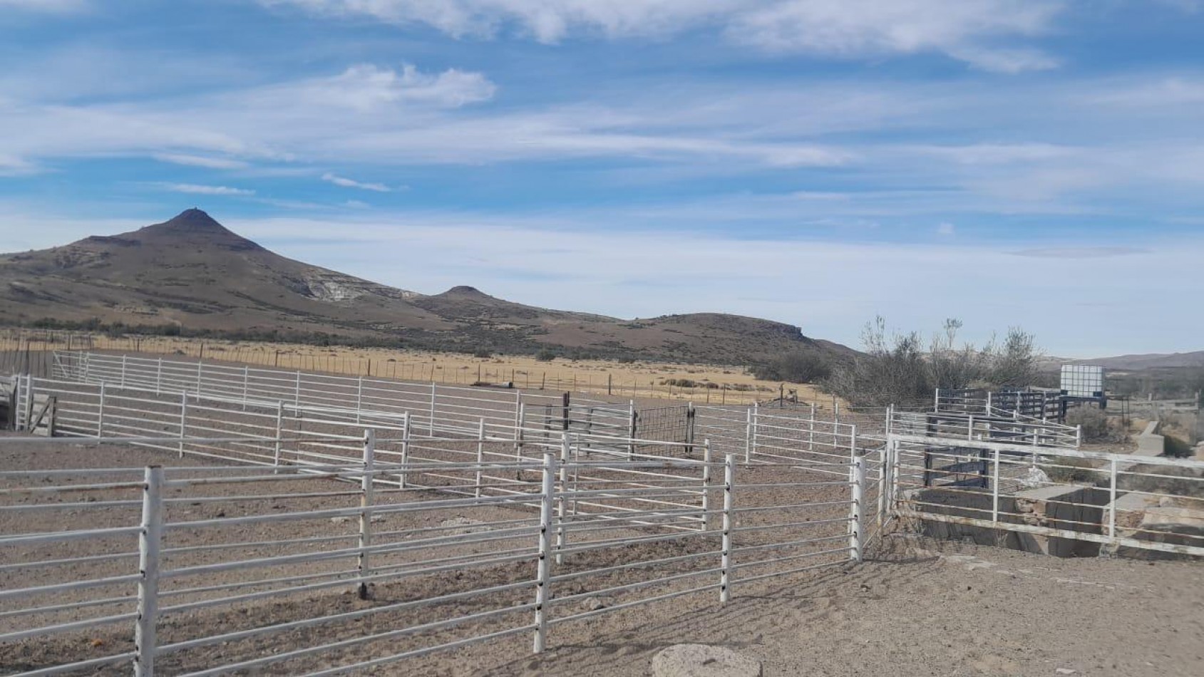 CAMPO PRODUCTIVO EN VENTA GOBERNADOR MOYANO