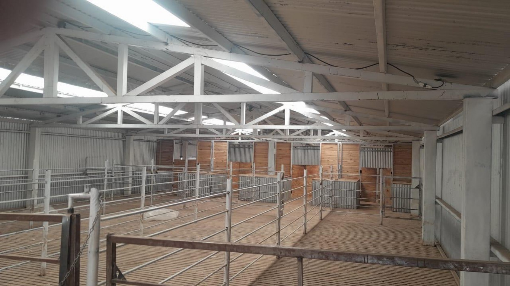 CAMPO PRODUCTIVO EN VENTA GOBERNADOR MOYANO