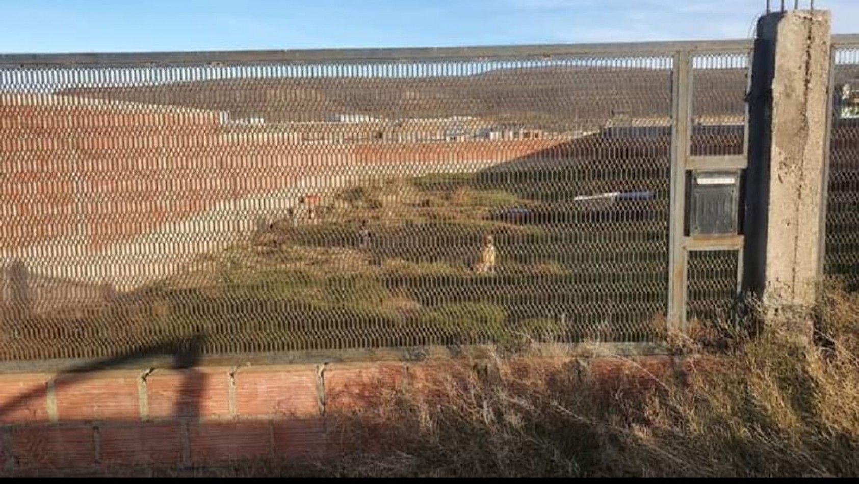 TERRENO EN VENTA B° LOS ARENALES