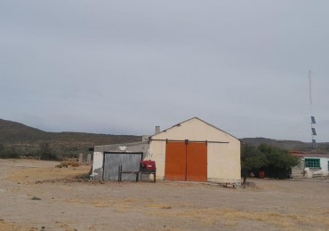 CAMPO PRODUCTIVO EN VENTA GOBERNADOR MOYANO